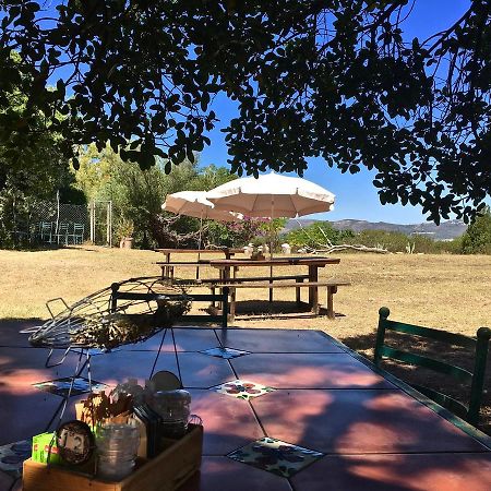 Shepherd'S Tree Backpackers Knysna Exterior photo