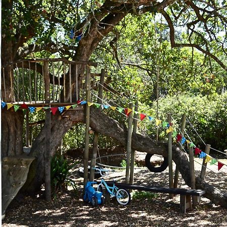 Shepherd'S Tree Backpackers Knysna Exterior photo