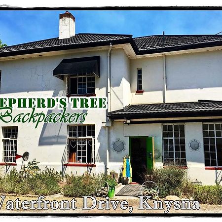 Shepherd'S Tree Backpackers Hostel Knysna Exterior photo