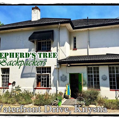 Shepherd'S Tree Backpackers Knysna Exterior photo