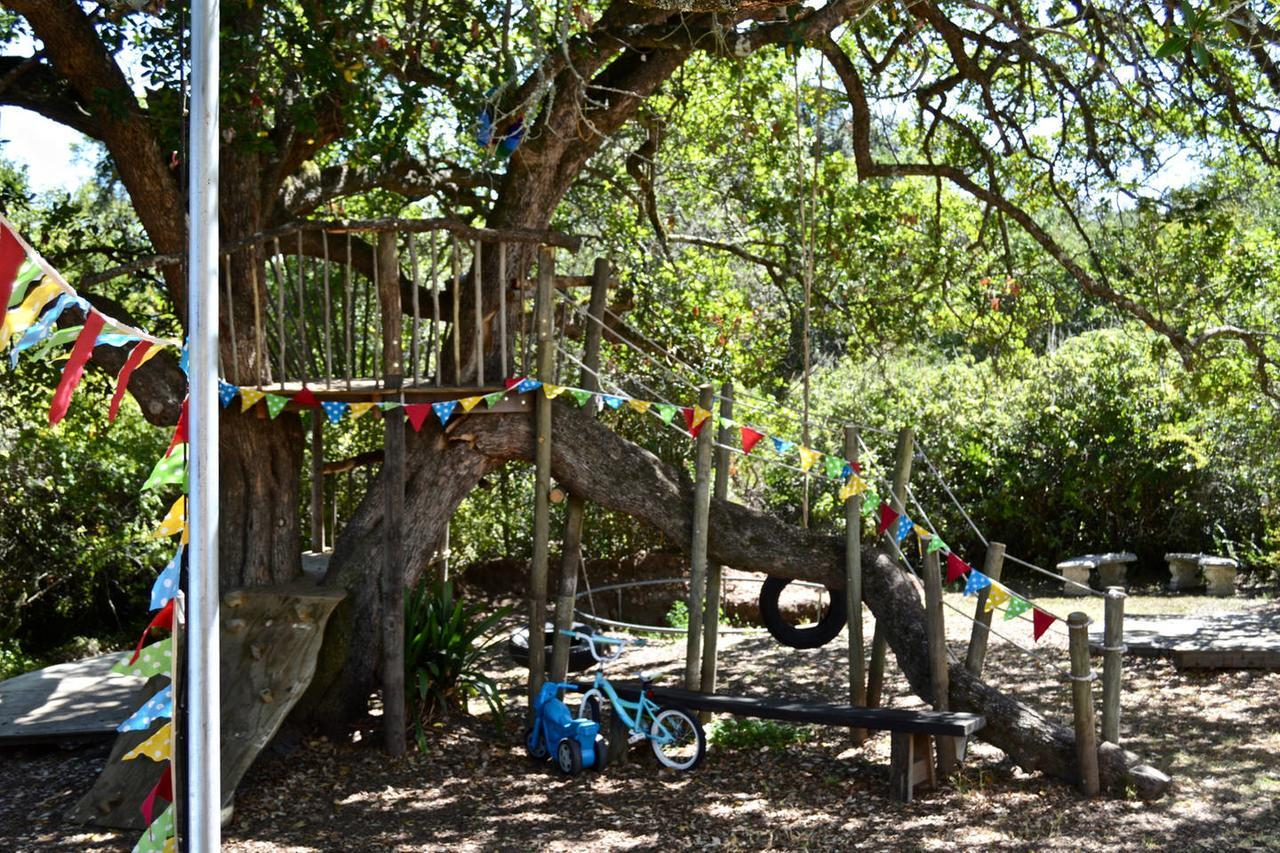 Shepherd'S Tree Backpackers Knysna Exterior photo