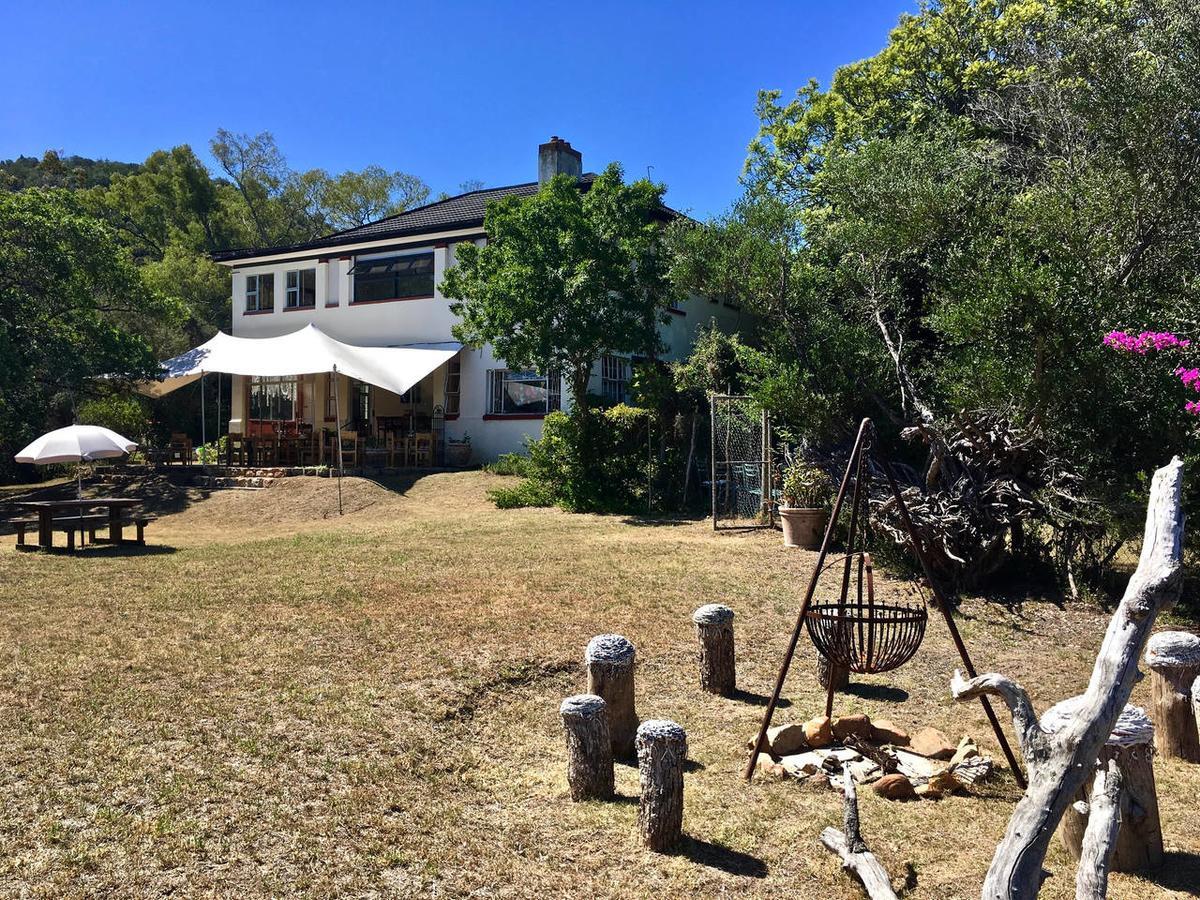Shepherd'S Tree Backpackers Knysna Exterior photo