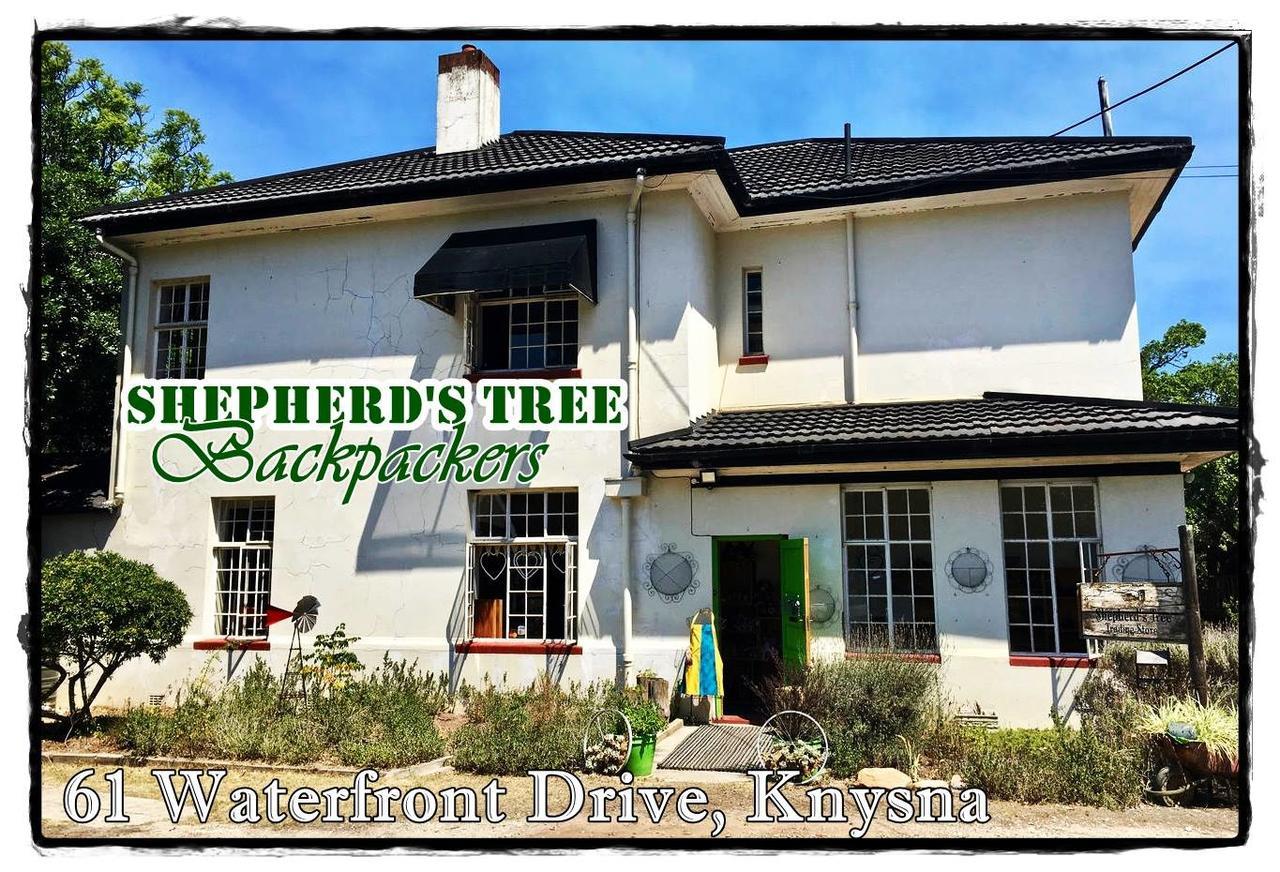 Shepherd'S Tree Backpackers Hostel Knysna Exterior photo