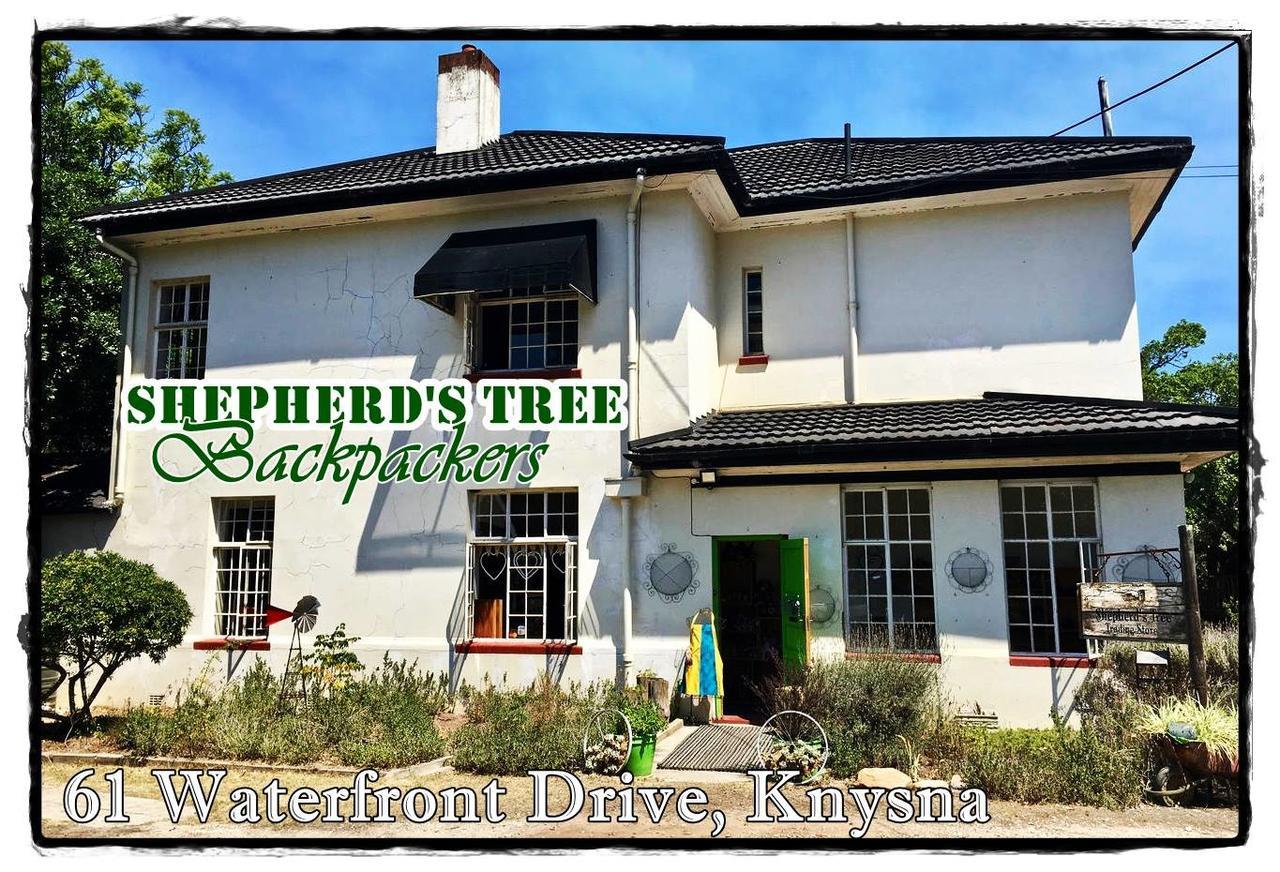 Shepherd'S Tree Backpackers Knysna Exterior photo