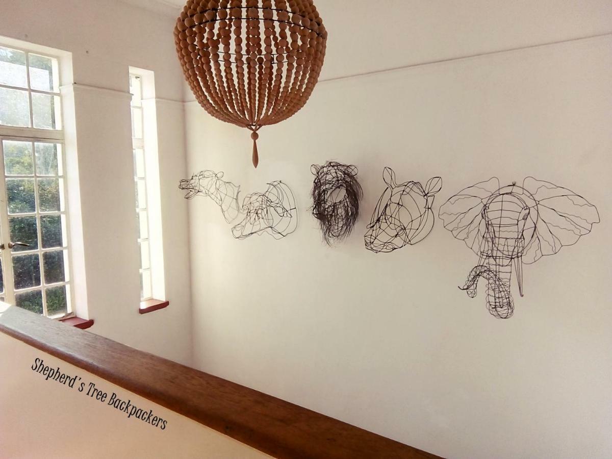 Shepherd'S Tree Backpackers Knysna Exterior photo