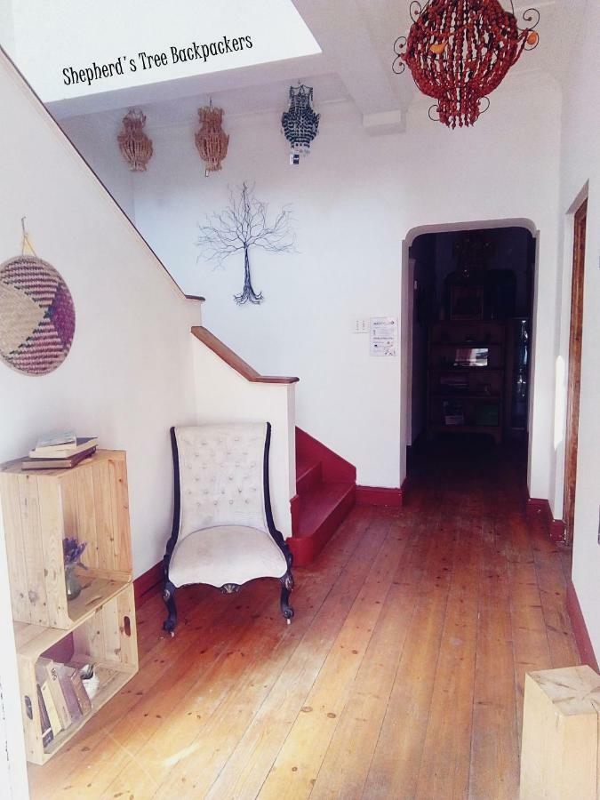 Shepherd'S Tree Backpackers Knysna Exterior photo