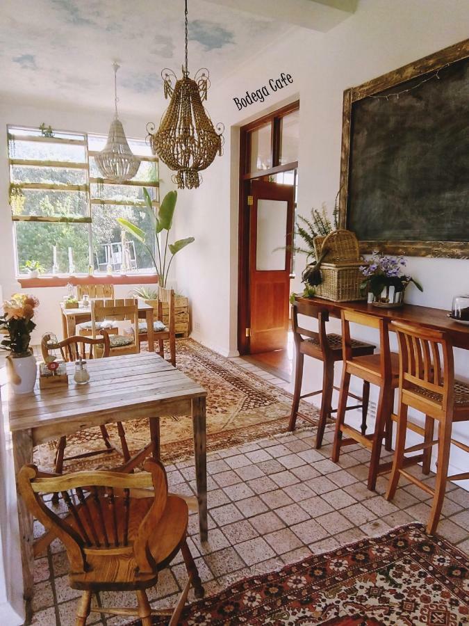 Shepherd'S Tree Backpackers Knysna Exterior photo